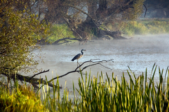 Ujscie Warty Nationaal Park