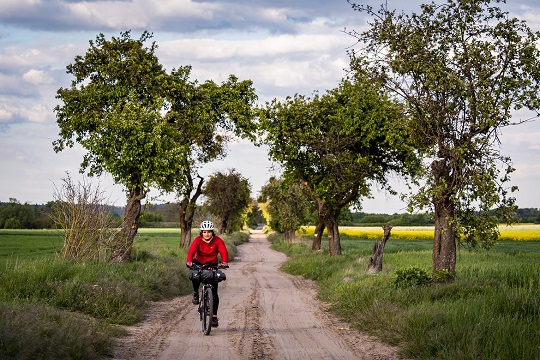 Groot-Polen voor de fietsers 
