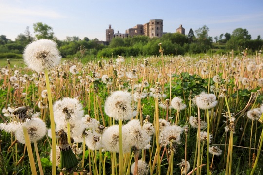 Het Kasteel Krzyżtopór – de ruïnes van de grote kalender